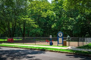 Dog park